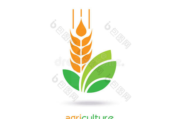 农业标识模板设计。图标、标志或符号。