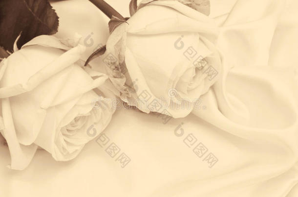 白色丝绸上美丽的白色玫瑰作为<strong>婚礼背景</strong>。 在s