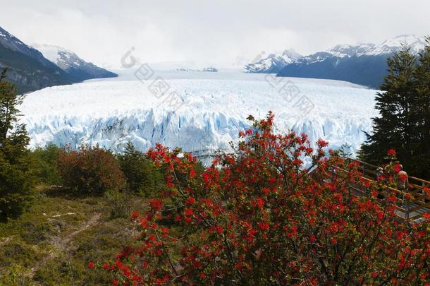 美国和安第斯山脉南极地区