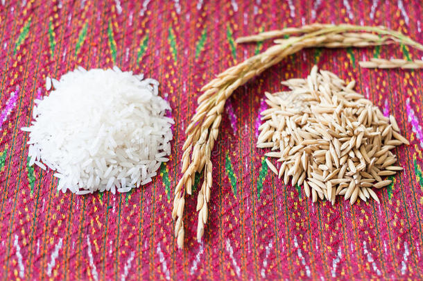农业水稻种子