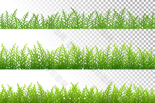 绿色的草地边界设置在透明的背景上