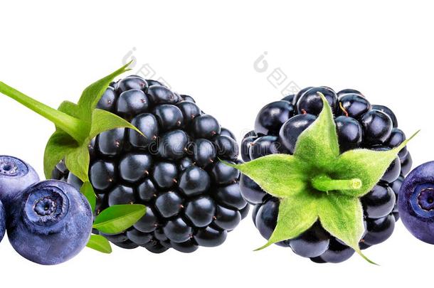 黑莓，<strong>蓝莓</strong>，<strong>蓝莓</strong>分离在白色