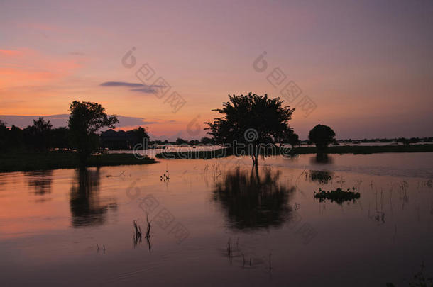 柬埔寨托勒SAP湖