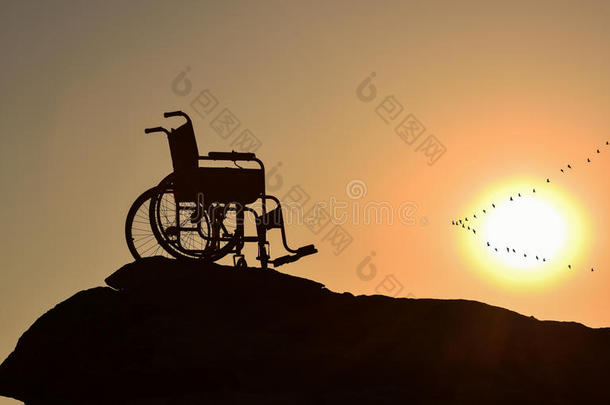 自由、孤独、残疾和残疾