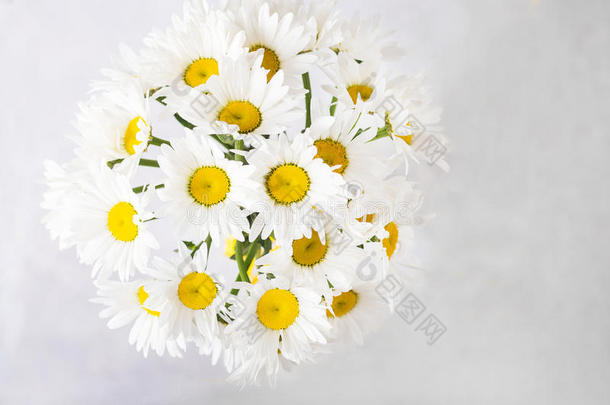 <strong>浅灰色背景</strong>的白色雏菊花束。 还有五颜六色的花。 新鲜雏菊的地方供文字使用。 花