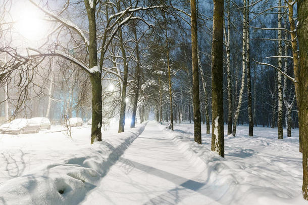 莫斯科的小巷下雪后，新鲜的未受影响的雪