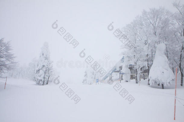 冒险令人大为惊奇的暴风雪寒冷的凉爽的