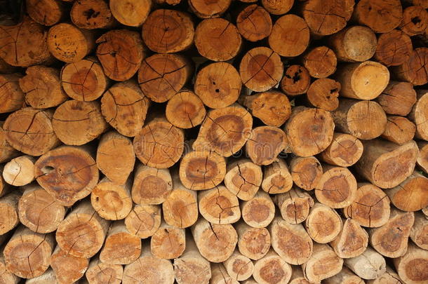 一堆天然的木头