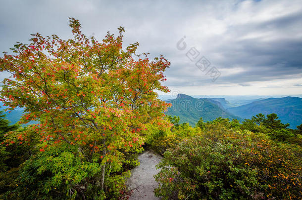 早秋景色从山蓝岭山脉，在林维尔峡谷的边缘，在Pisgah国家森林，n