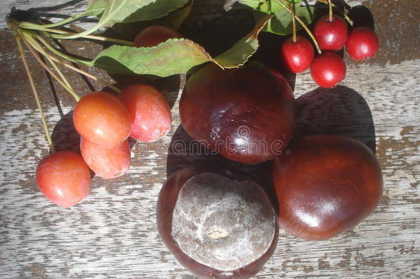 木板上的栗子和野生红色浆果