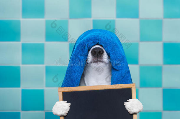 狗在淋浴或健康水疗中心