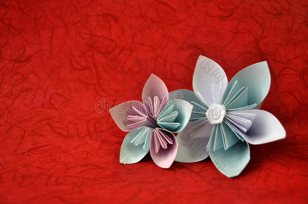 红色背景上美丽的折纸花/折纸花/折纸花中的蓝白纸组合/简单的折纸