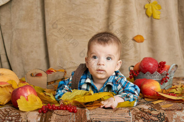 秋天的<strong>小男孩</strong>躺在黄色的落叶上，苹果，<strong>南瓜</strong>和纺织品上的装饰