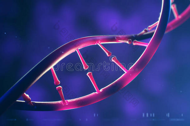 DNA<strong>分</strong>子的三维图示。 人类<strong>基因</strong>组概念的特写