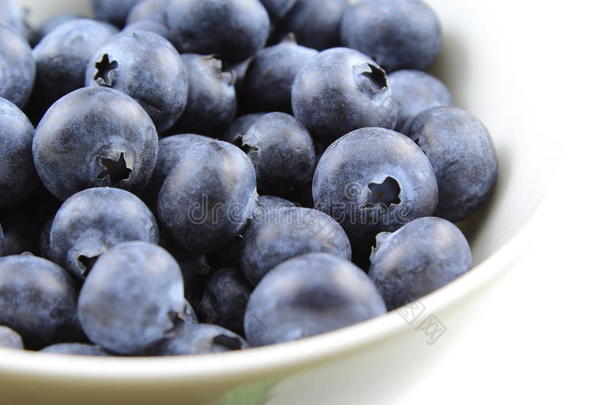 欧洲蓝莓水果