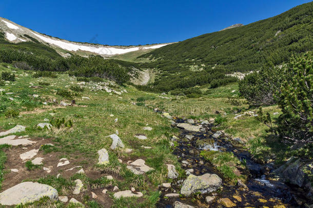 皮林山青山绿水奇观