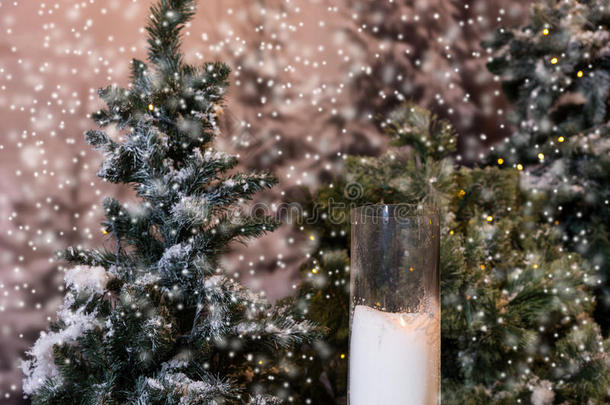 大蜡烛在玻璃花瓶附近的冷杉树和手电筒在一个s