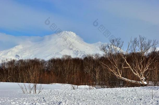 美丽的冬季火山景观