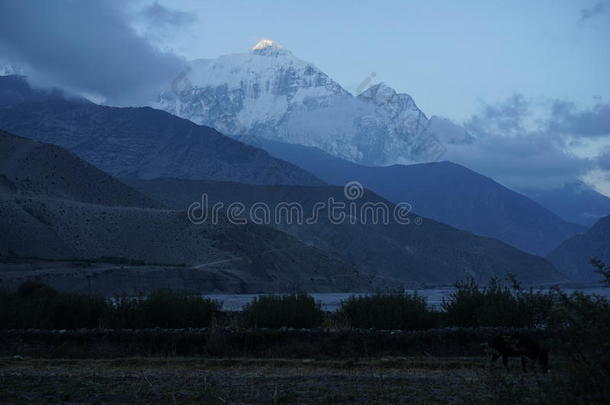 安纳普拉纳电路领域房子风景