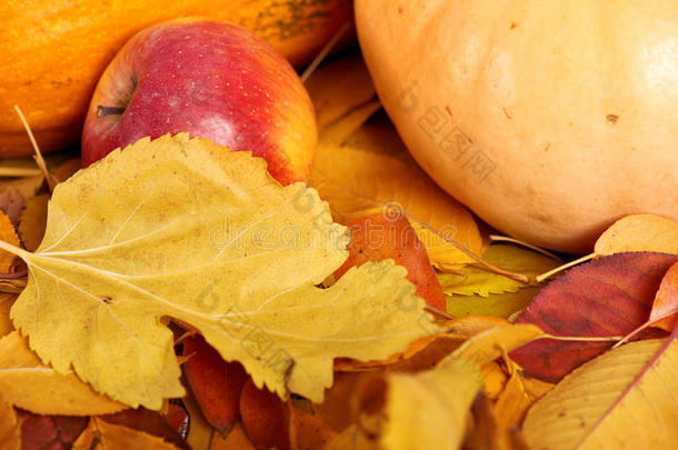 秋天的背景，水果和蔬菜在黄色的落叶，苹果和南瓜，装饰在乡村风格