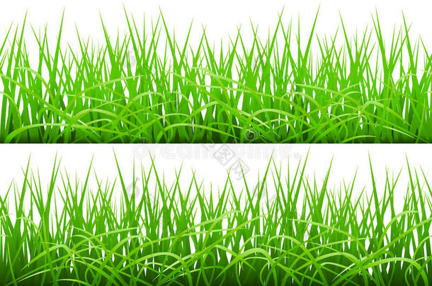 绿色草边框集，矢量插图