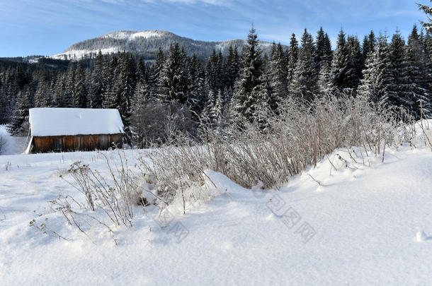 阿尔卑斯山美丽的建筑小屋木屋