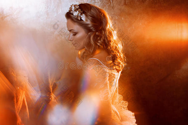 美丽的女孩新娘穿着豪华的婚纱，<strong>金色</strong>的肖像，眩光的<strong>效果</strong>