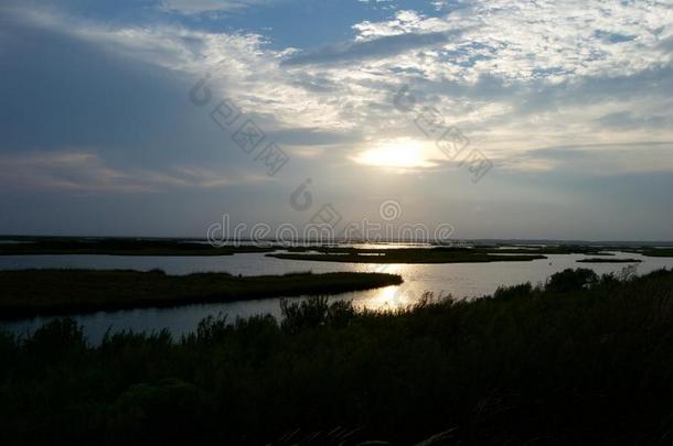 湿地日落