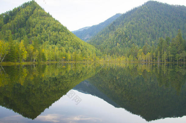 森林湖光滑如水的镜子。