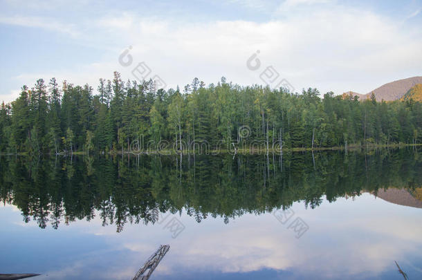 森林湖光滑<strong>如水</strong>的镜子。
