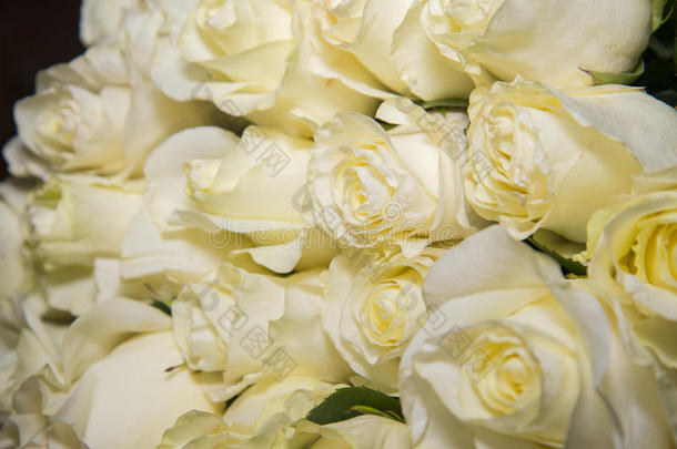 美丽的花束作为伟大的白色玫瑰的礼物。