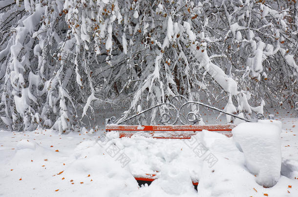 长凳暴风雪分支灌木平静的