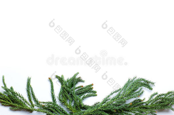 圣诞边框冷杉树枝在白色背景上隔离