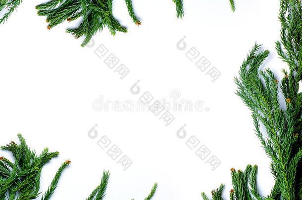 圣诞边框冷杉树枝在白色背景上隔离