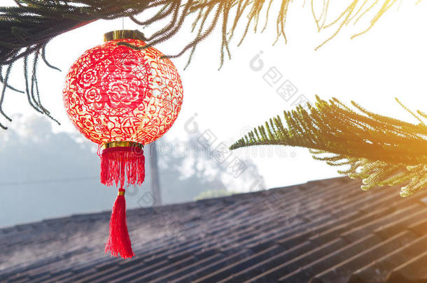 屋顶松树上的中国灯笼。<strong>春节背景</strong>。