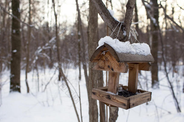 公园里冬天给鸟类喂食的人。 挂在树枝上