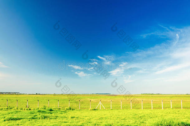 绿色的田野，在美丽的蓝天上有一些篱笆