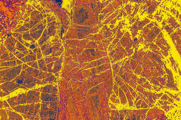 彩色的，抽象的矿物图案在<strong>偏光</strong>显微照片。
