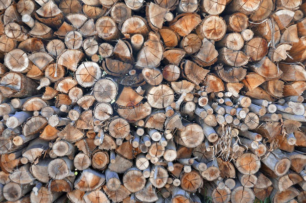摘要植树造林可供替代的背景树皮