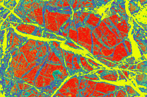 彩色的，抽象的矿物图案在<strong>偏光</strong>显微照片。