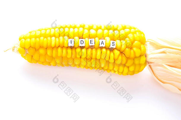 设计成干玉米种子的字母玩具
