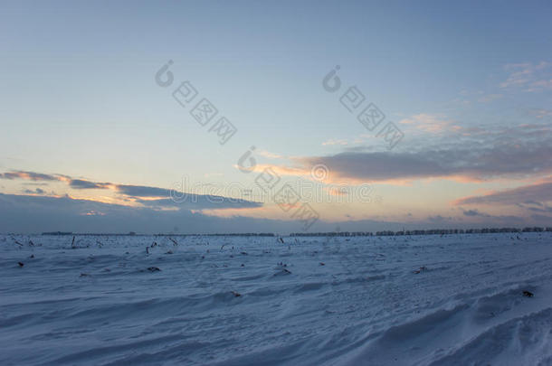 黑暗美丽的天空。 日落的太阳。 快速的浮云。 真正的冬天霜冻的日落在田野里。 剪影声。
