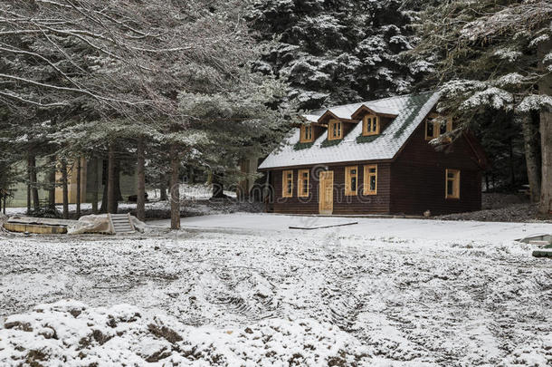 阿尔卑斯山小屋木屋圣诞节寒冷的