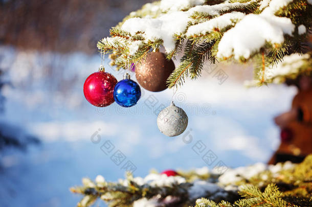雪冬森林里圣诞树上的<strong>彩色球</strong>。
