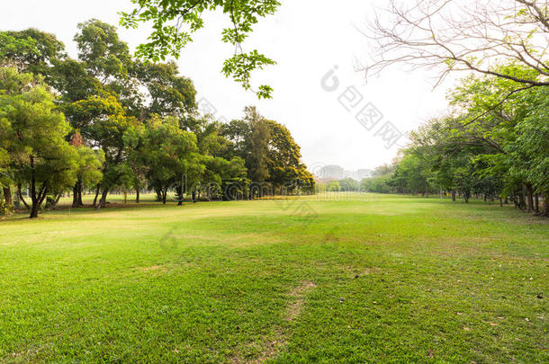 绿地公园景观与草地和城市背景