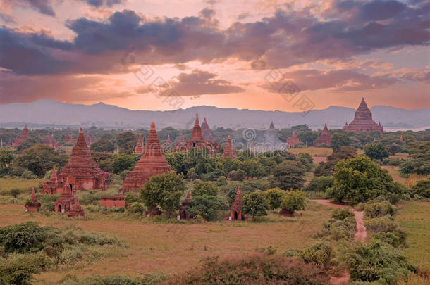 缅甸农村的古老宝塔来自巴甘