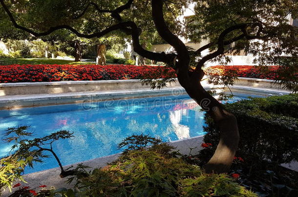 令人大为惊奇的花园米兰水塘游泳