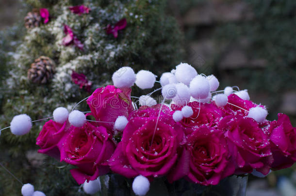 美丽的气息，洋红色，迷人的玫瑰，装饰雪球