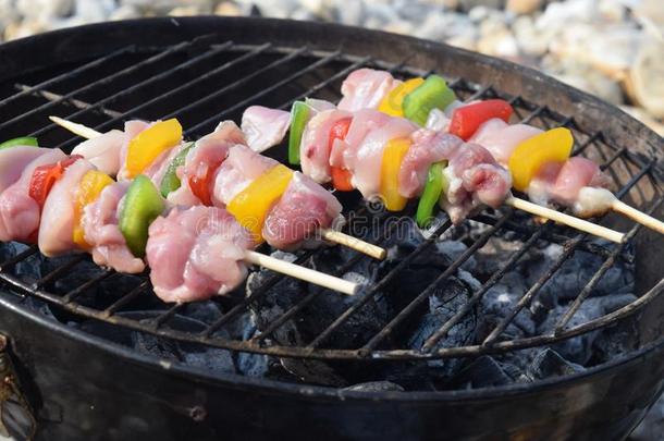 生鸡肉串