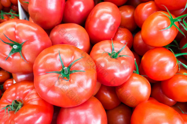 关闭新鲜，多汁，成熟的番茄堆。 番茄红素和抗氧化剂在水果营养中对健康和皮肤有好处。 平躺。